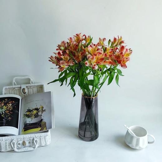 橙色水仙百合20支/扎【GY】 商品图4