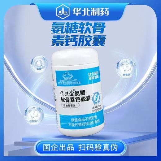 氨糖软骨素钙胶囊    改善骨密度 商品图0