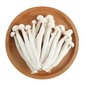 有机海鲜菇200g｜芸岭鲜生