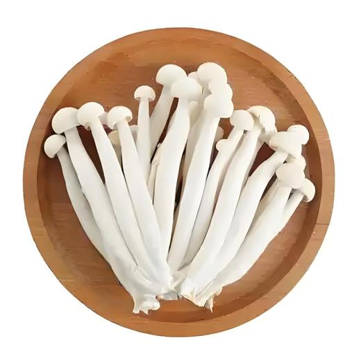 有机海鲜菇200g｜芸岭鲜生 商品图0