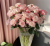 折射多头玫瑰 10支 (40-45个花苞)/扎【GY】 商品缩略图3