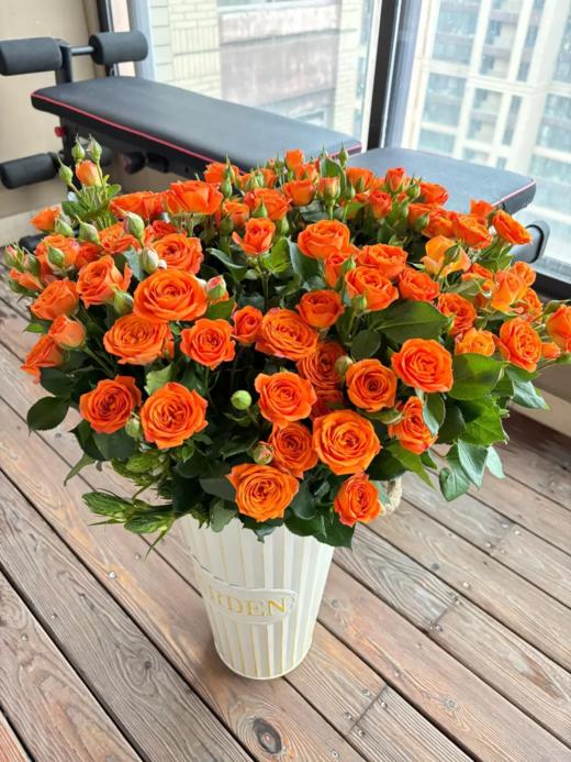 橙芭比多头玫瑰 10支( 40-45个花苞)/扎【GY】 商品图10