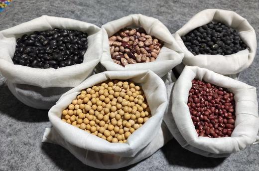 【9月4号之后发货】郭老师家 八年酵素种植 豆类 黄豆 绿豆 黑豆 黑饭豆 真空包装 商品图3
