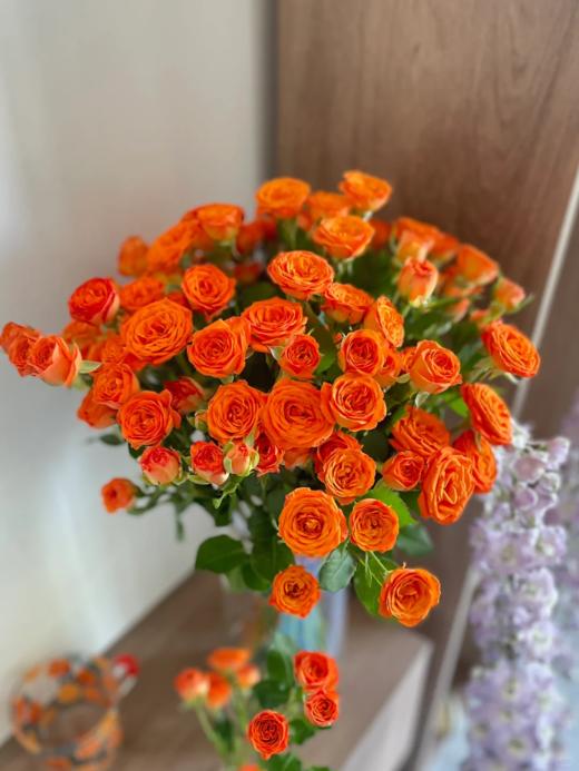 橙芭比多头玫瑰 10支( 40-45个花苞)/扎【GY】 商品图8