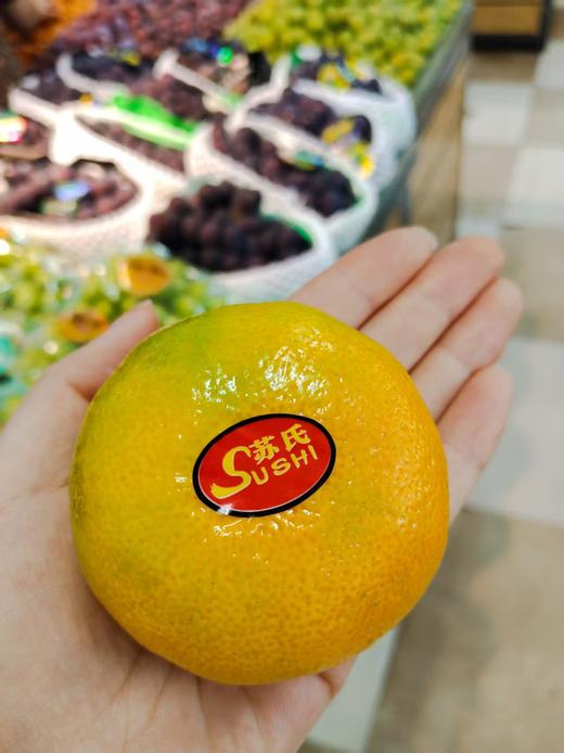 苏氏桔子2斤 商品图0