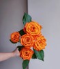 橙芭比多头玫瑰 10支( 40-45个花苞)/扎【GY】 商品缩略图11