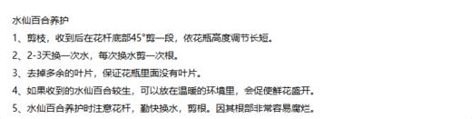 橙色水仙百合20支/扎【GY】 商品图6