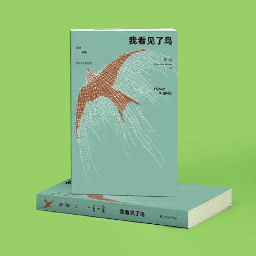 单读41·我看见了鸟 吴琦 主编 商品图4