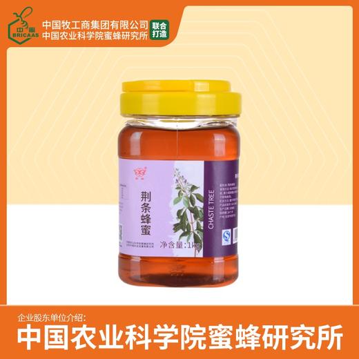 买2送挤瓶蜂蜜 华兴牌| 荆条蜂蜜1000g 中国农业科学院蜜蜂研究所出品 商品图0