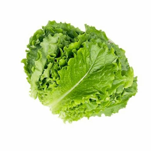 玲儿家小菜 生菜140g 령이네반찬 상추140g 商品图0