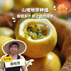 生态黄金百香果（福建） | 合作生产*  Eco-Passion fruit | Partner Production 商品缩略图0