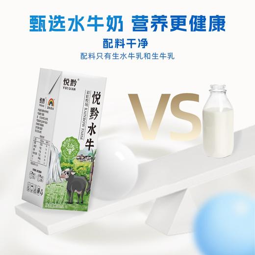 【直发】悦黔认养吃甘蔗的水牛奶200g*10盒/箱 商品图4