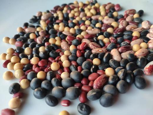 【9月4号之后发货】郭老师家 八年酵素种植 豆类 黄豆 绿豆 黑豆 黑饭豆 真空包装 商品图1