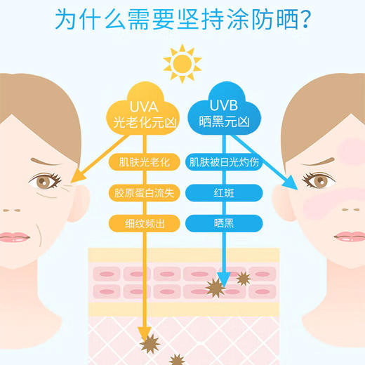 安热沙（Anessa）防晒霜小金标60ml（日版） 商品图3