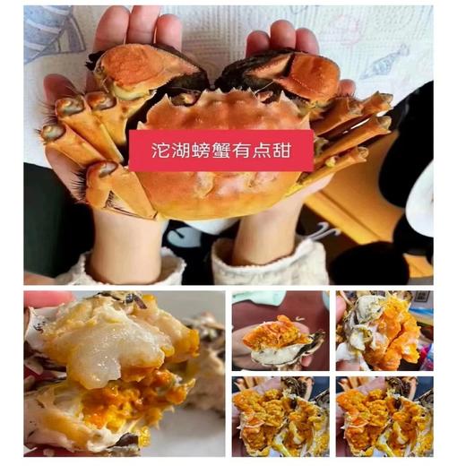 五河--沱湖有机大闸蟹（988型）蟹卡【FY】 商品图4