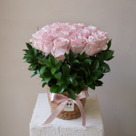 微醺尼斯 Afterglow in Nice