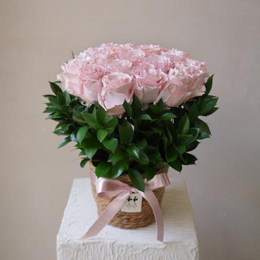 微醺尼斯 Afterglow in Nice 商品图0