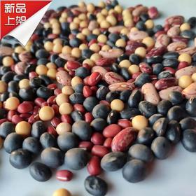 【9月4号之后发货】郭老师家 八年酵素种植 豆类 黄豆 绿豆 黑豆 黑饭豆 真空包装