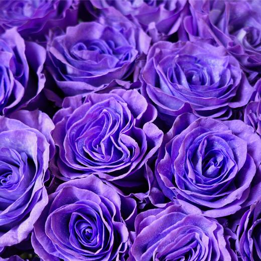 西西里夏夜Wander Over Sicily 商品图2