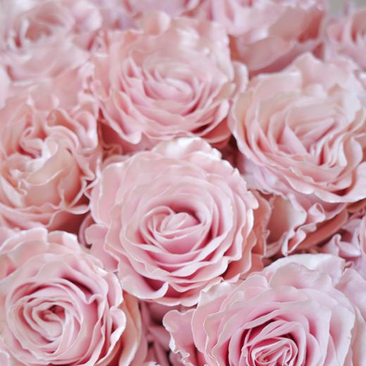 微醺尼斯 Afterglow in Nice 商品图3