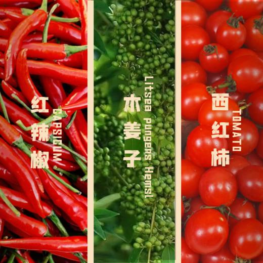 红酸汤·纯素无添加·精选高山小番茄+长线鲜辣椒·苗家千年古法工艺·365天三重自然发酵·松茸调味·不含味精·无色素/香精/防腐剂/稳定剂/增酸剂· 商品图2