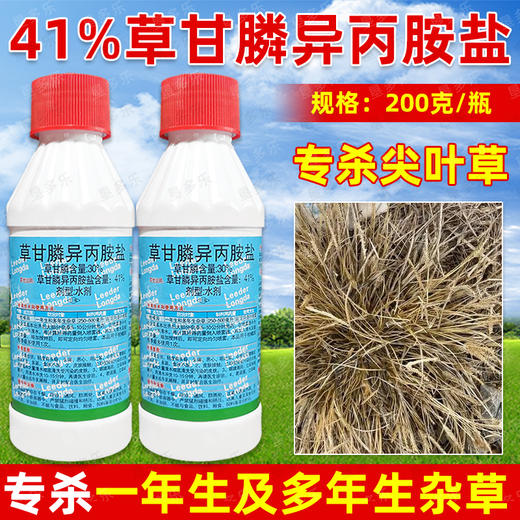 草甘膦异丙胺盐龙达柑橘园除水花生牛筋草小飞蓬专用除草剂正品 商品图1