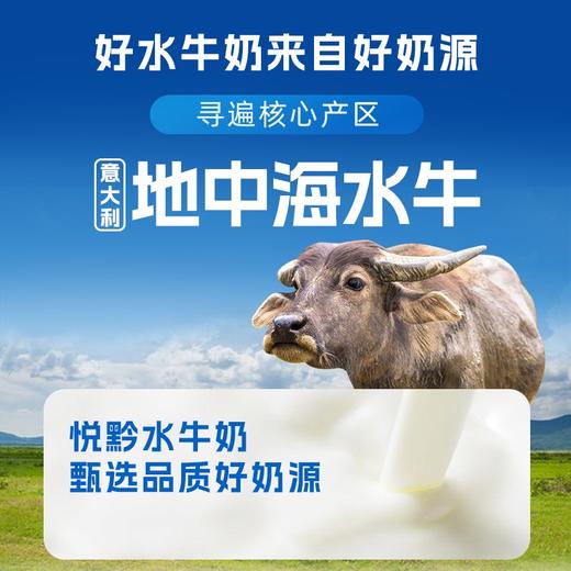 【直发】悦黔认养吃甘蔗的水牛奶200g*10盒/箱 商品图3