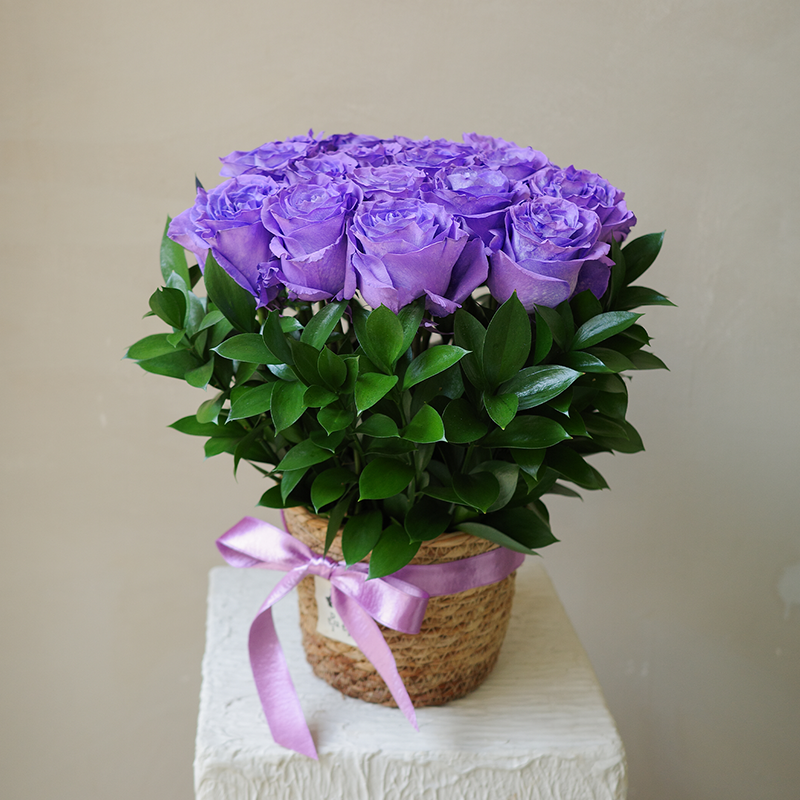 西西里夏夜Wander Over Sicily