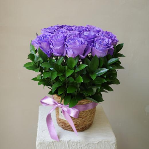 西西里夏夜Wander Over Sicily 商品图0