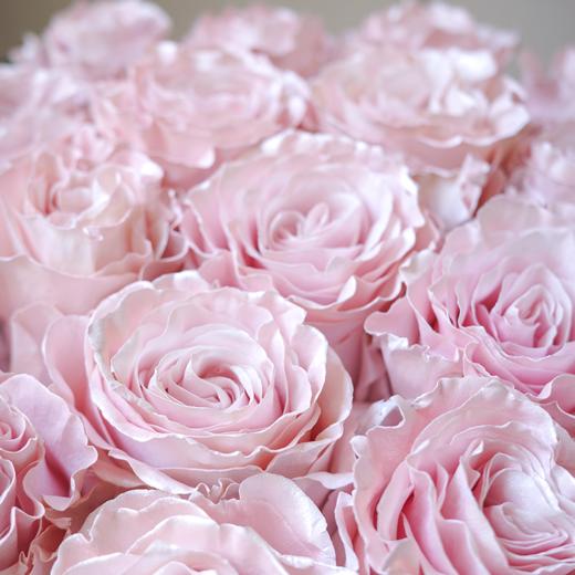 微醺尼斯 Afterglow in Nice 商品图2