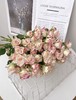 折射多头玫瑰 10支 (40-45个花苞)/扎【GY】 商品缩略图8