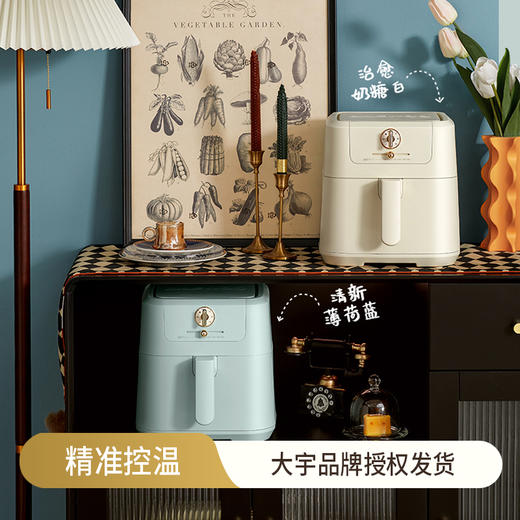 大宇 空气炸锅K11 5L大容量 一锅多用 满足一家日常料理 72小时发货 商品图0