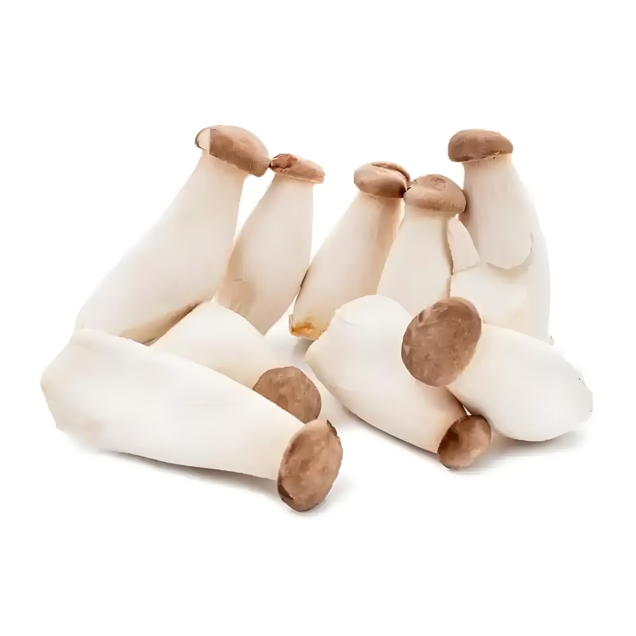 有机杏鲍菇200g｜芸岭鲜生