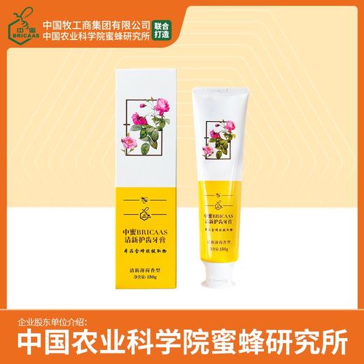 中蜜 清新护齿牙膏 含蜂胶提取物 150g 商品图0