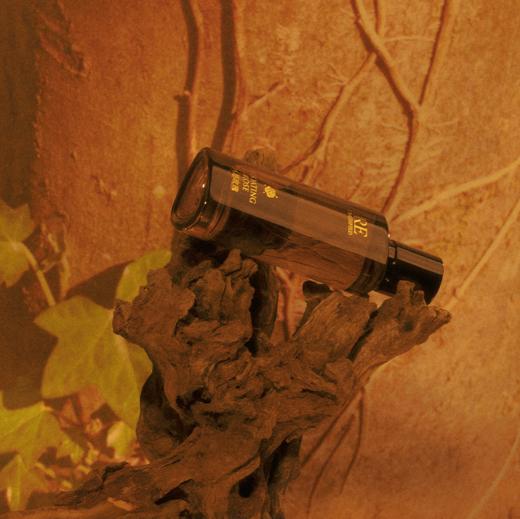 【新品上市】冥想玫瑰沙龙香水50ml 商品图1