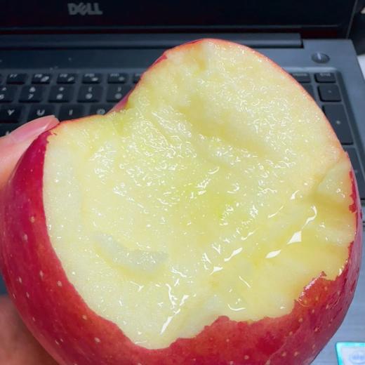 红富士苹果礼盒 12个装 7斤+ 商品图2