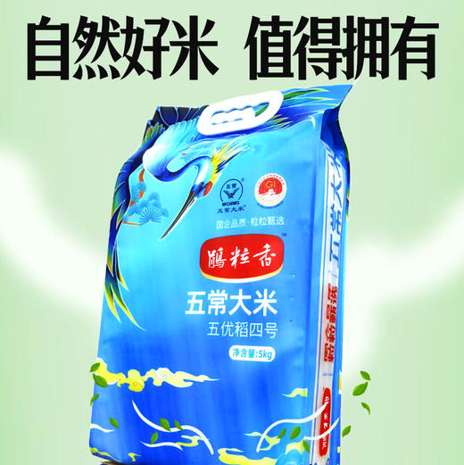 鹃粒香五常大米5kg 一件包邮【五优稻4号国企品质】 商品图1