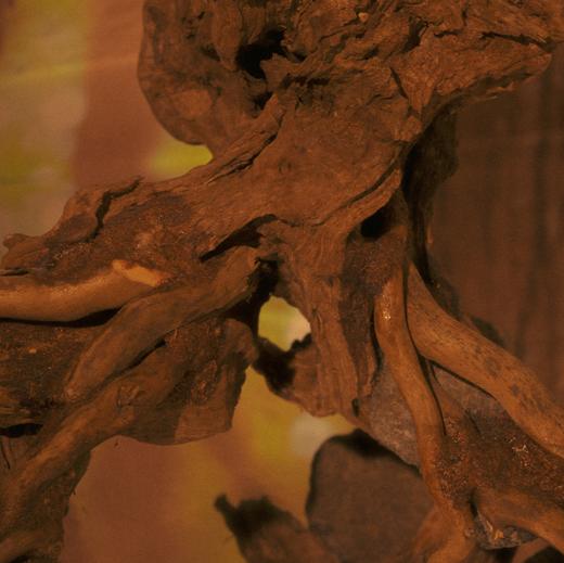 【会员专享】冥想玫瑰 2ml沙龙香水 体验装 商品图3