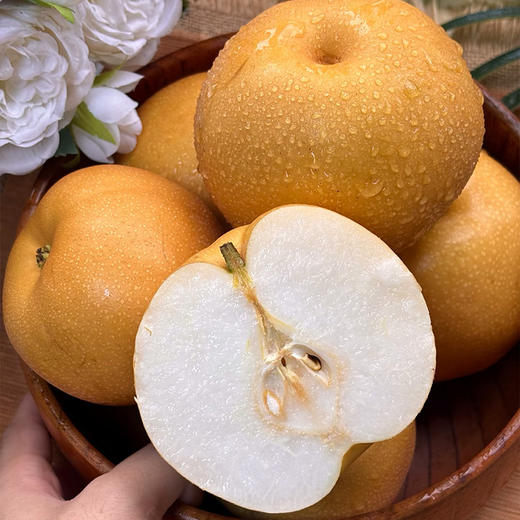 售罄下架【助农】鑫勇泰秭归梨子香甜脆梨5斤装大果（净重4.5斤，9个及以内） 商品图4