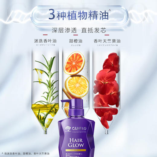 【分仓直发包邮】卡蓓诺育发洗发水（基础型）350ml 商品图2