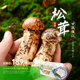 雅江松茸-新鲜高原松茸（最后3天:8月28日截止下单）-顺丰冷链直达