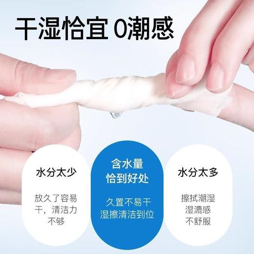 妇炎洁护理私处湿纸巾 山茶花本草湿巾纸男女清洁女性私处卫生护理经期免洗滋润独立单片小包 商品图1