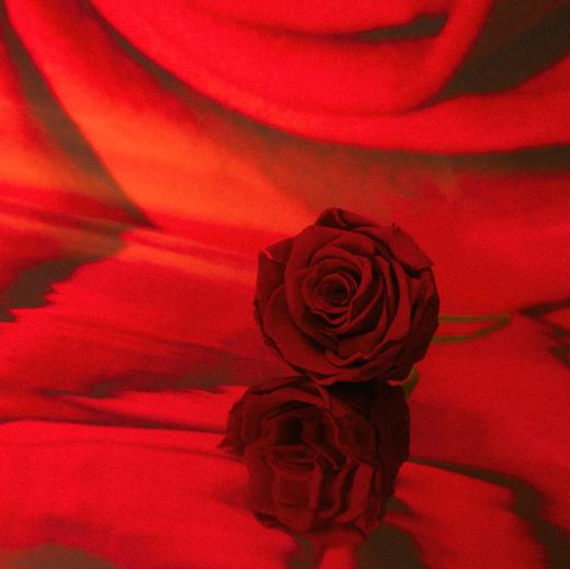 【新品上市】冥想玫瑰沙龙香水50ml 商品图2