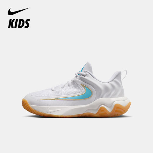 Nike Giannis Immortality 4 大童篮球鞋 IH7664 商品图0