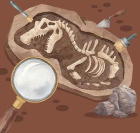 重庆自然资源科普馆丨镇馆之宝·化石探秘