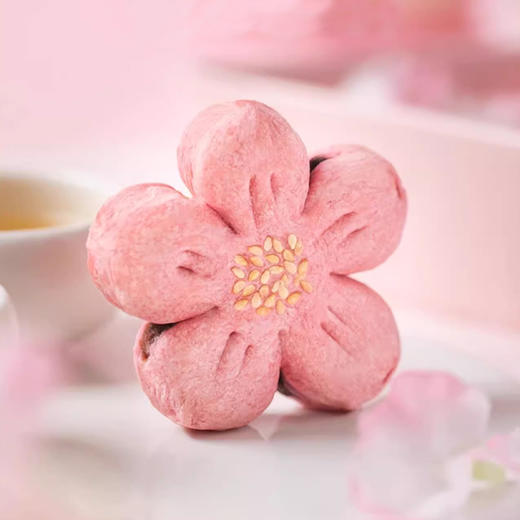 粹品养元酥点礼盒450g 商品图1