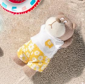 小熊汉斯仲夏时光汉斯站立-M