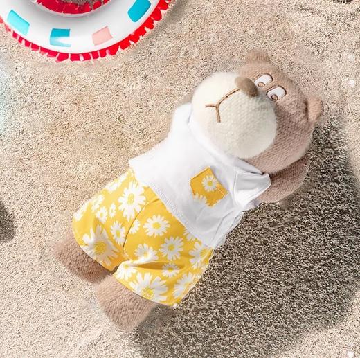 小熊汉斯仲夏时光汉斯站立-S 商品图0