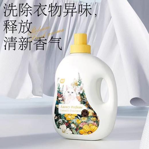 植护 馥玉晚香香水洗衣液2kg 商品图1