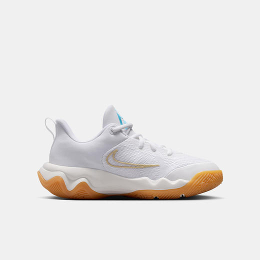 Nike Giannis Immortality 4 大童篮球鞋 IH7664 商品图2